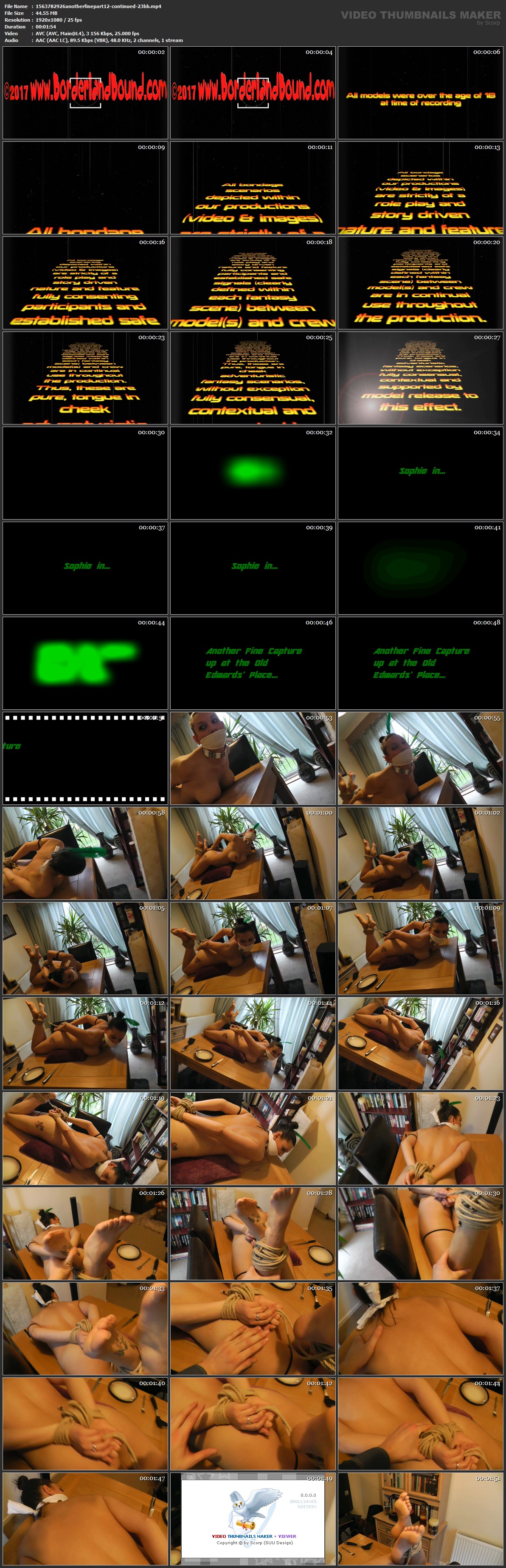 1563782926 anotherfinepart 12 continued 23 bb mp 4