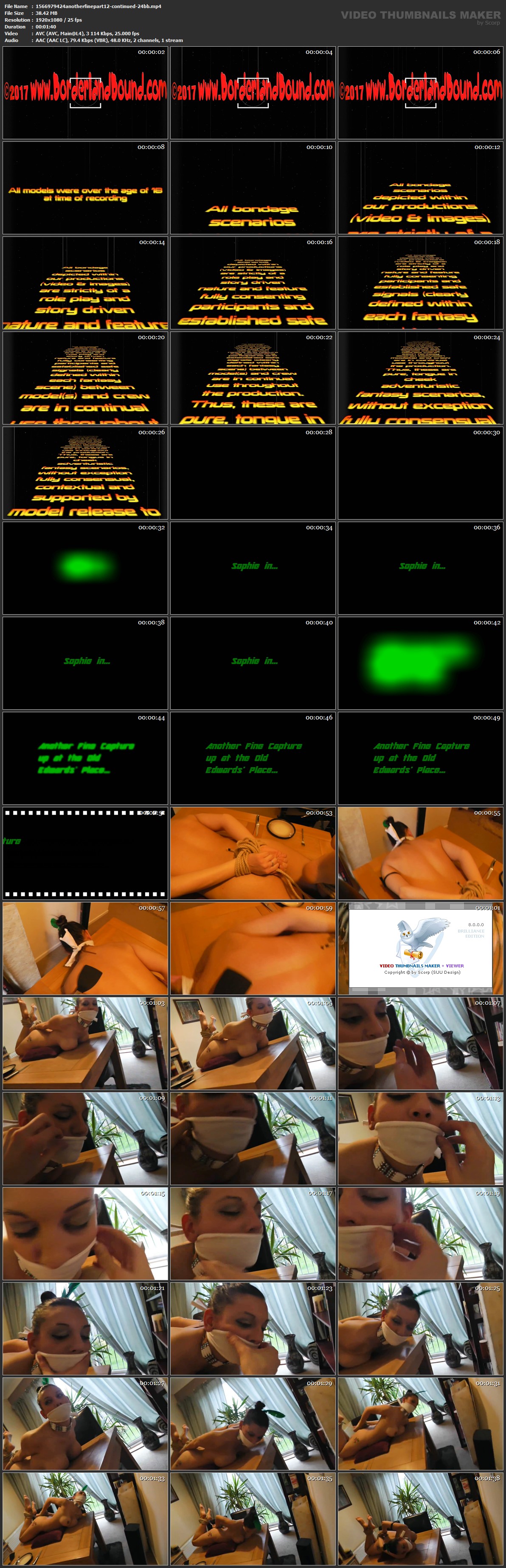 1566979424 anotherfinepart 12 continued 24 bb mp 4