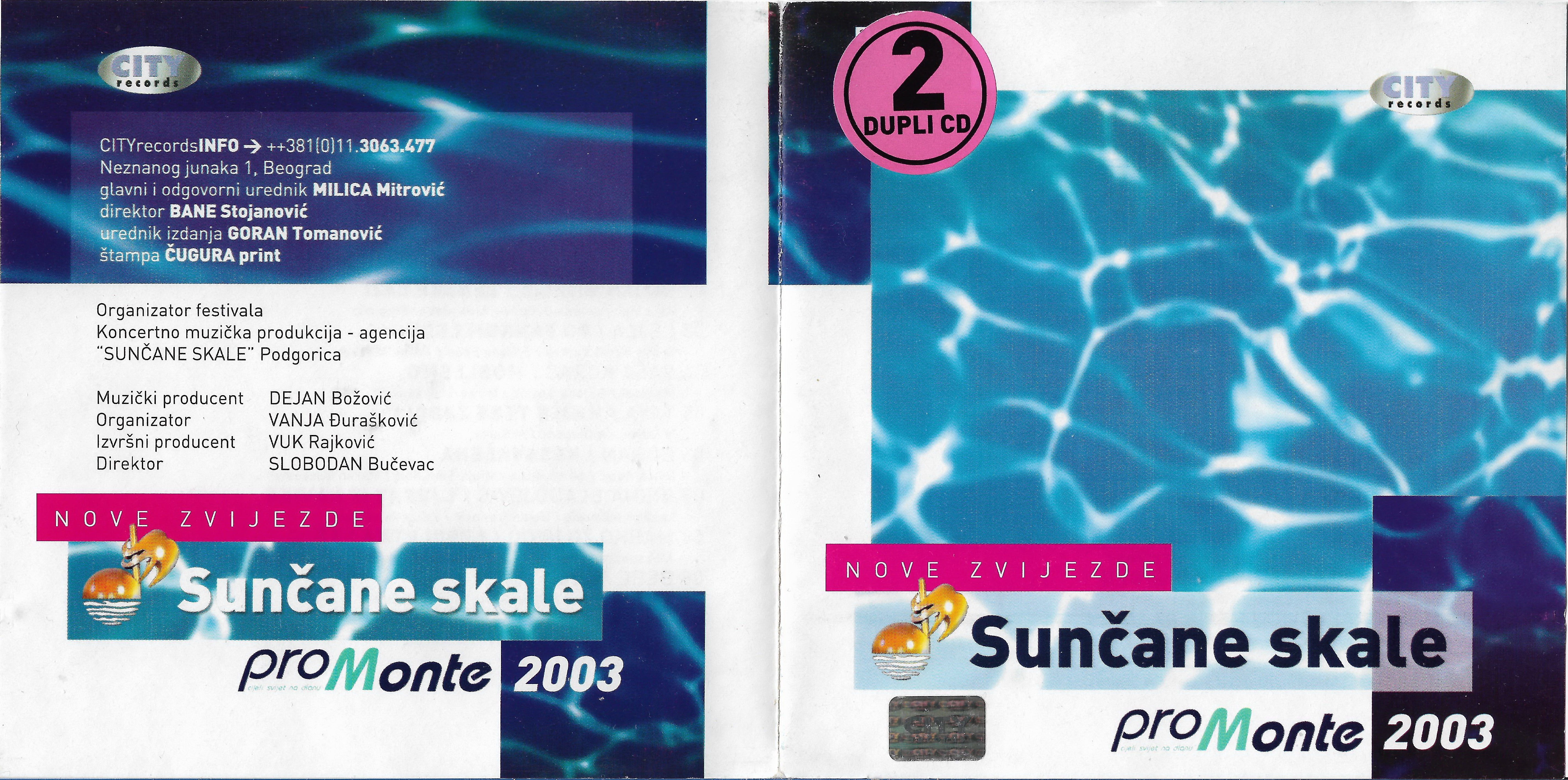 SK 2003 NZ 1