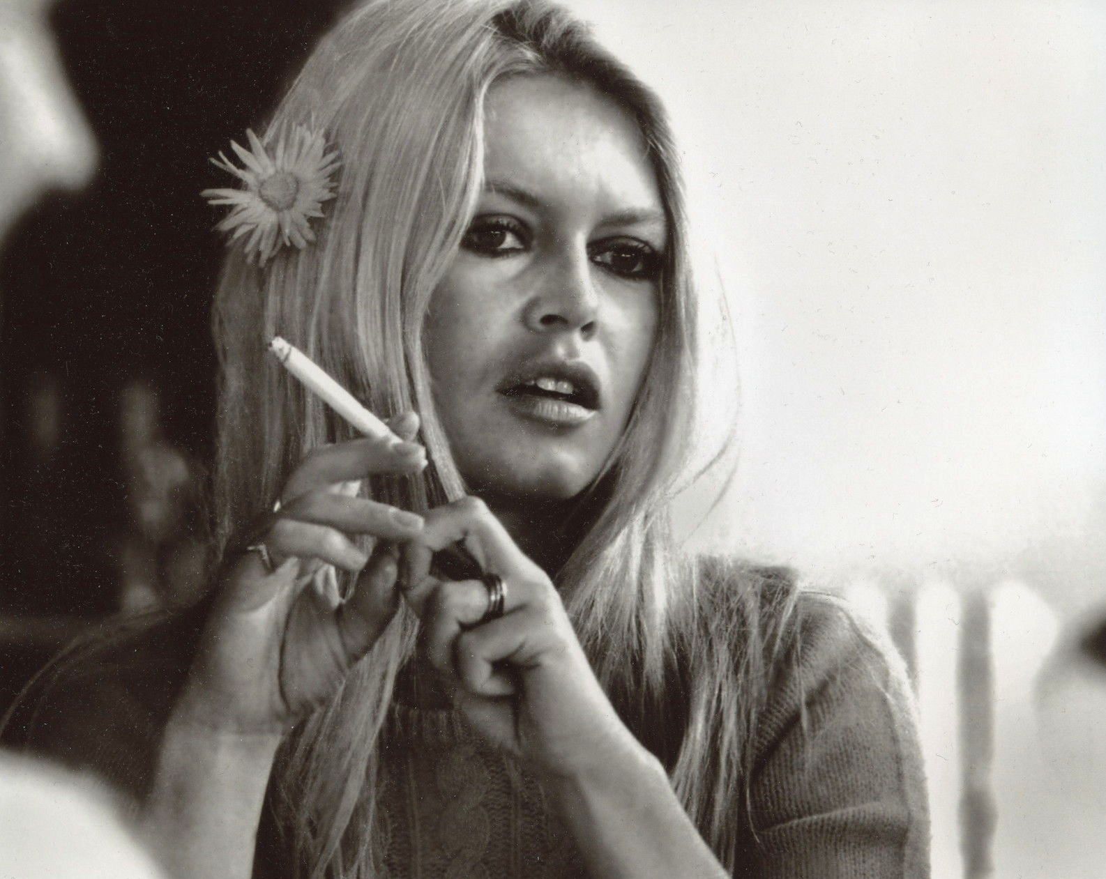 Brigitte Bardot 11