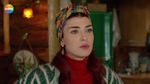 51800862_4078897.jpg