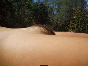 Hairy brunette posing outdoors at holiday (419 Pics)-j6x5n5ty3l.jpg