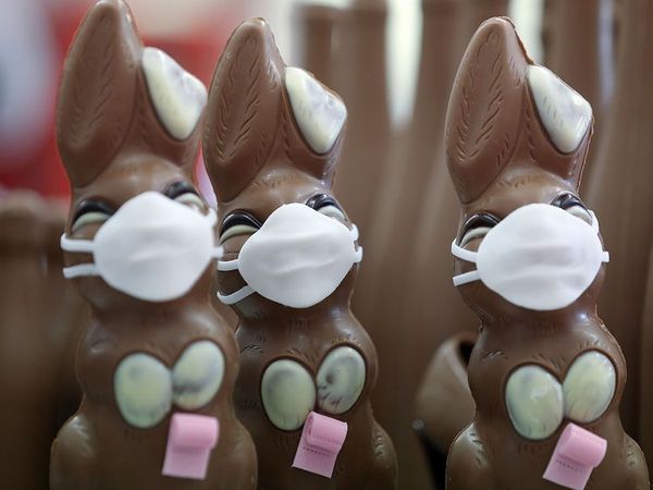 [Image: 51741256_Chocolate-Easter-Bunnies.jpg]